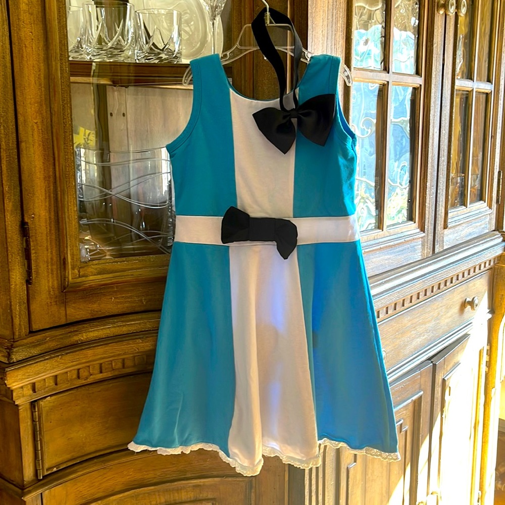 Alice in Wonderland custom dress and headband